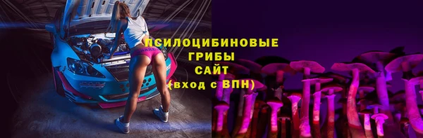 круглые Белокуриха
