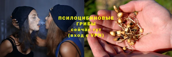 ПСИЛОЦИБИНОВЫЕ ГРИБЫ Баксан