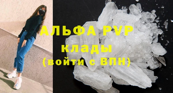 ПСИЛОЦИБИНОВЫЕ ГРИБЫ Баксан