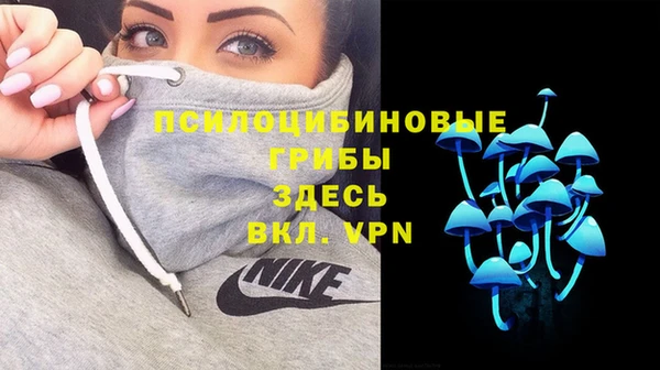 ПСИЛОЦИБИНОВЫЕ ГРИБЫ Баксан